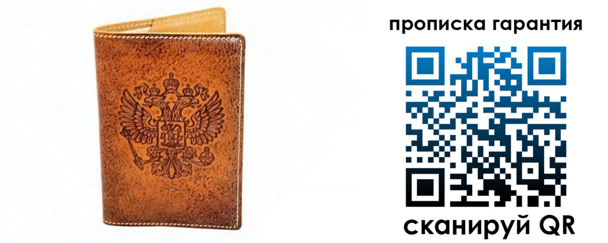 прописка для школы в Кировграде